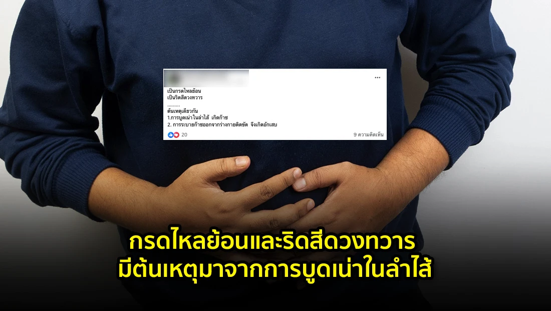 การบูดเน่าในลำไส้