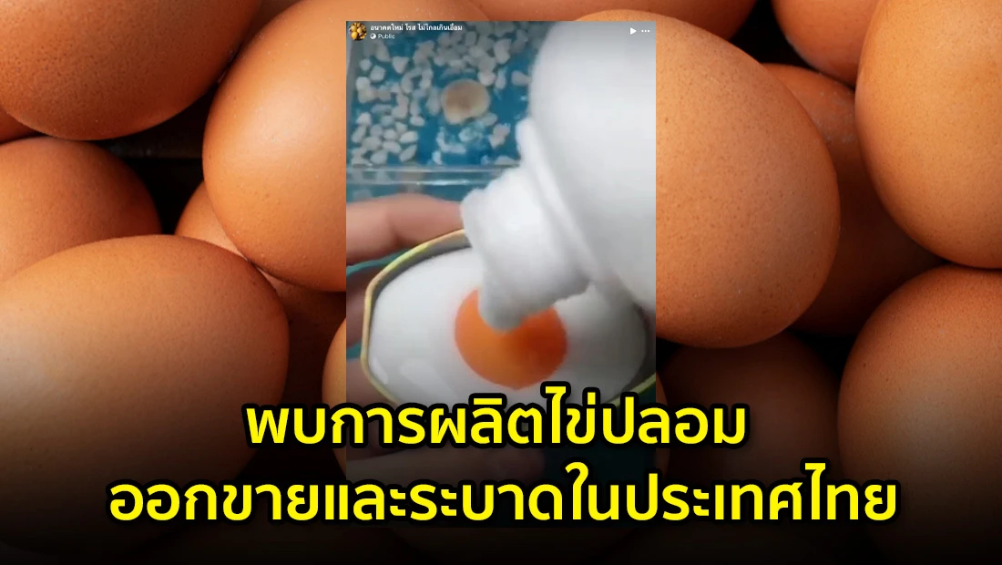 ผลิตไข่ปลอม