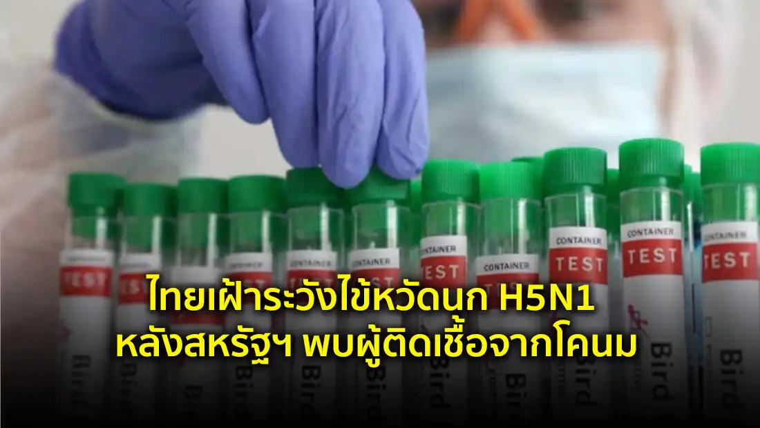 ไทยเฝ้าระวังไข้หวัดนก H5N1 หลังสหรัฐฯ พบผู้ติดเชื้อจากโคนม