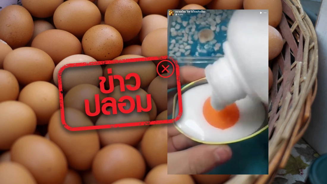 ผลิตไข่ปลอม
