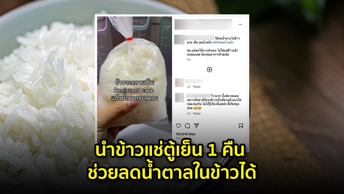 นำข้าวแช่ตู้เย็น 1 คืน ช่วยลดน้ำตาลในข้าวได้