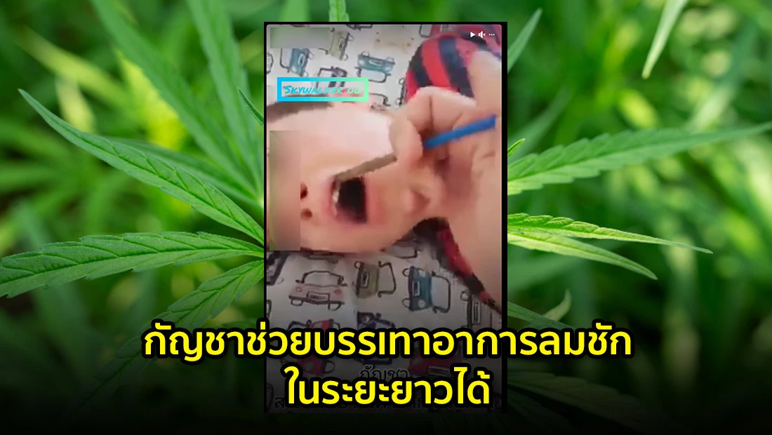 กัญชาช่วยบรรเทาอาการลมชัก
