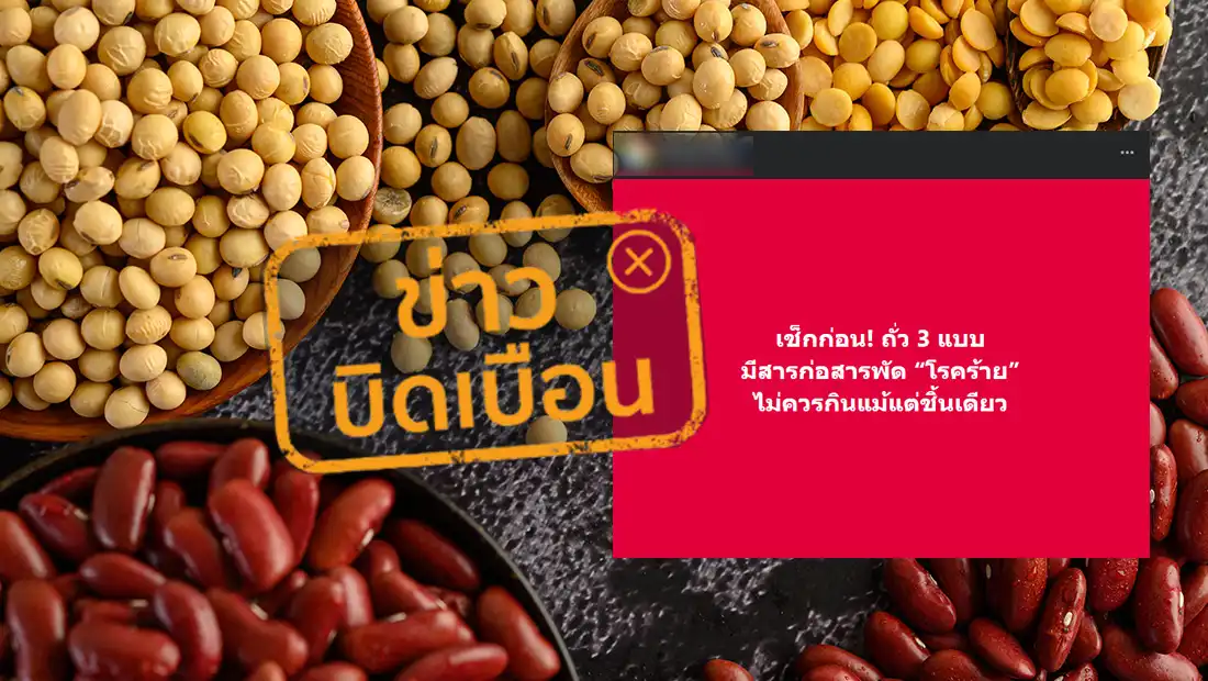 ลักษณะถั่ว 3 ชนิด