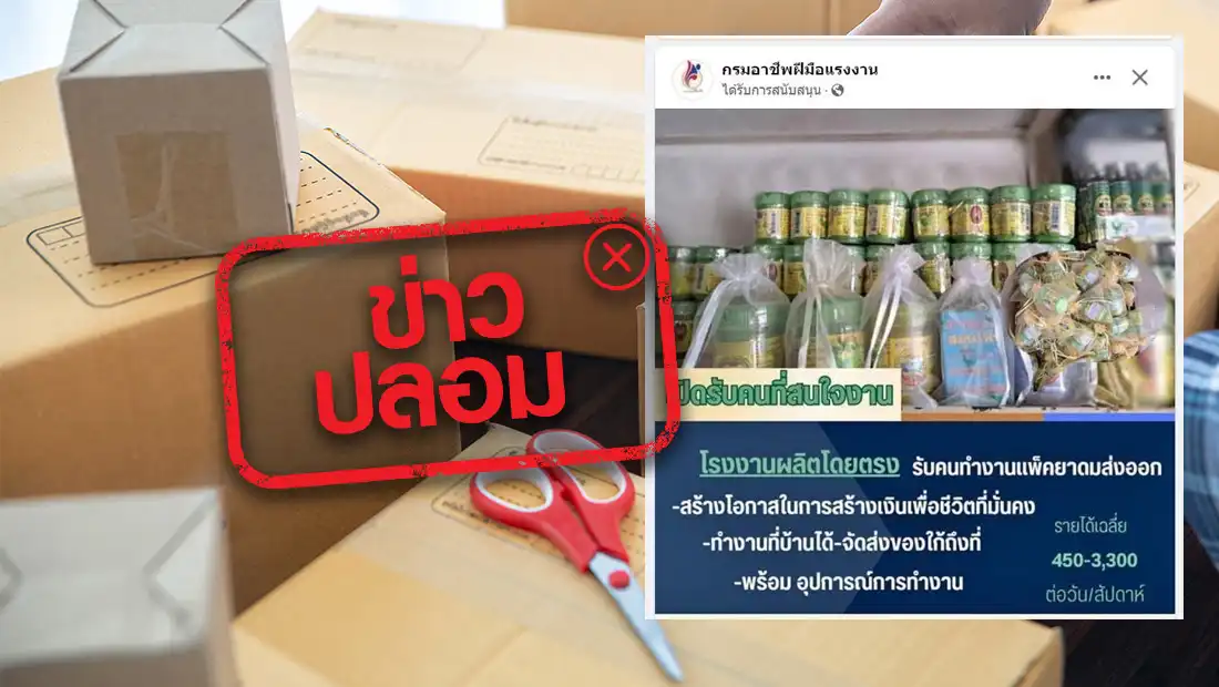 เปิดรับสมัครงาน ทำงานที่บ้าน รายได้ 450-3,300 บาท ต่อวัน/สัปดาห์