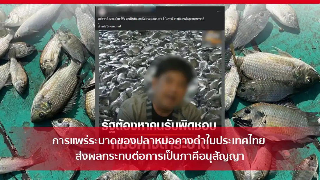 ปลาหมอคางดำ