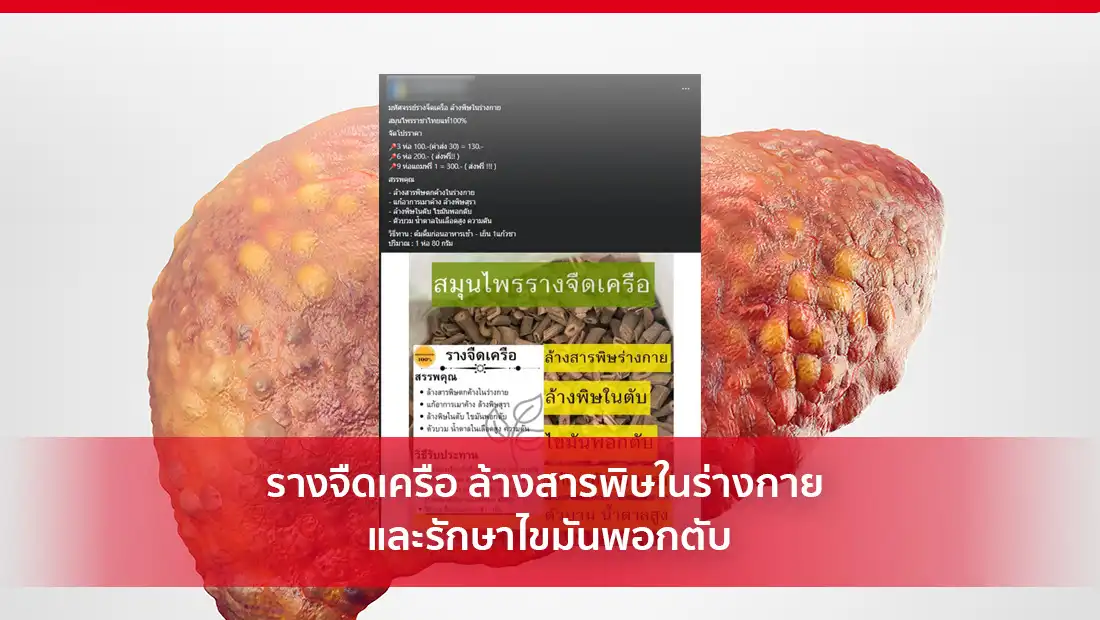 รางจืดเครือ