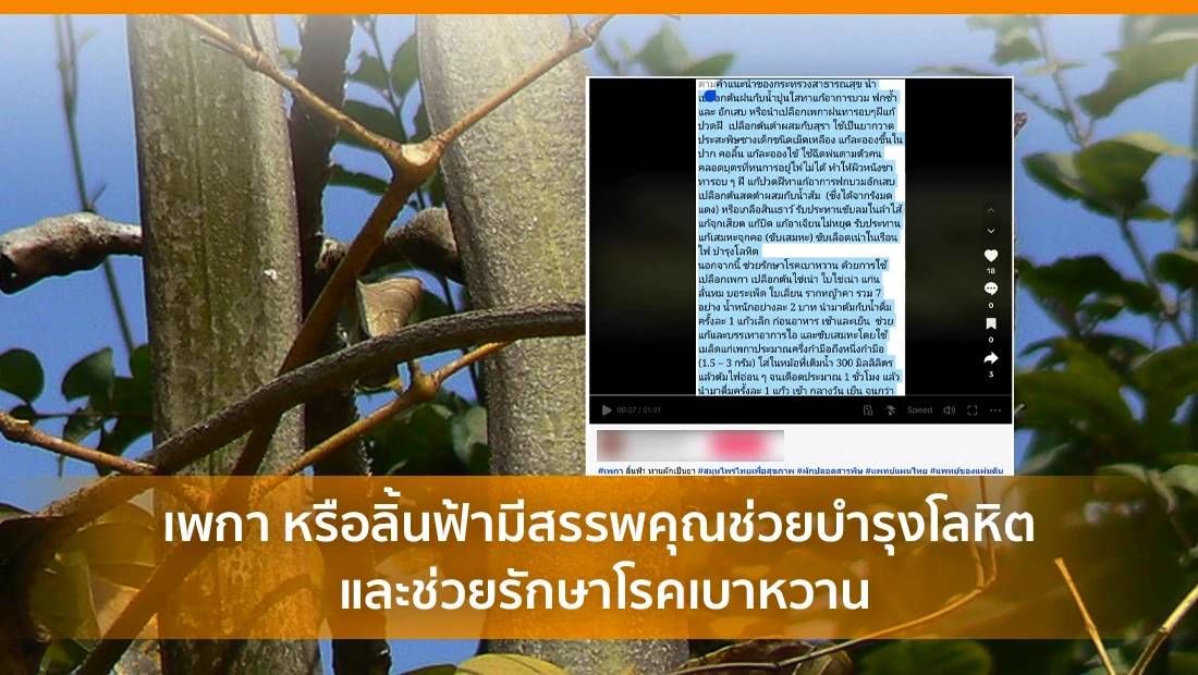 ลิ้นฟ้ามีสรรพคุณช่วยบำรุงโลหิต