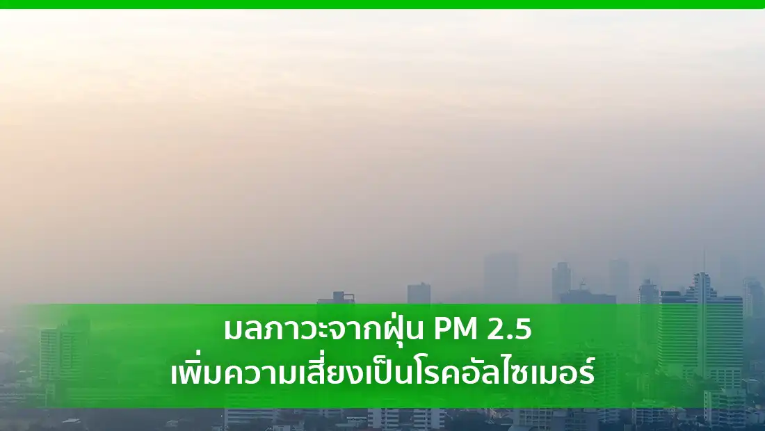มลภาวะจากฝุ่น PM 2.5 เพิ่มความเสี่ยงเป็นโรคอัลไซเมอร์