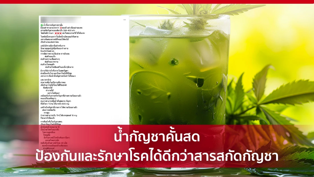 น้ำกัญชาคั้นสด ป้องกันและรักษาโรคได้ดีกว่าสารสกัดกัญชา