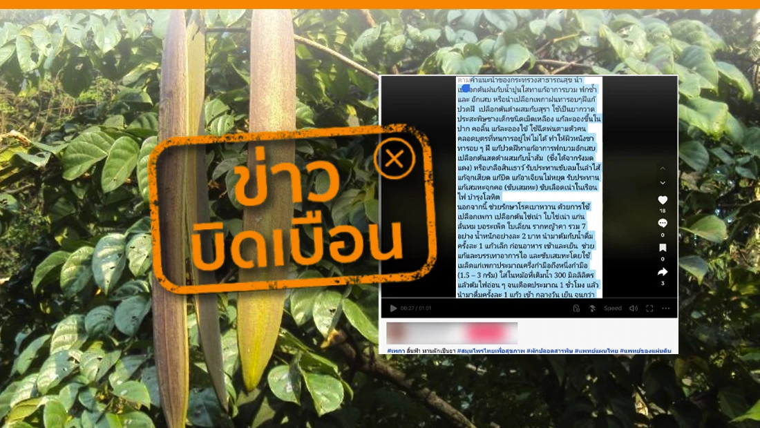 ลิ้นฟ้ามีสรรพคุณช่วยบำรุงโลหิต