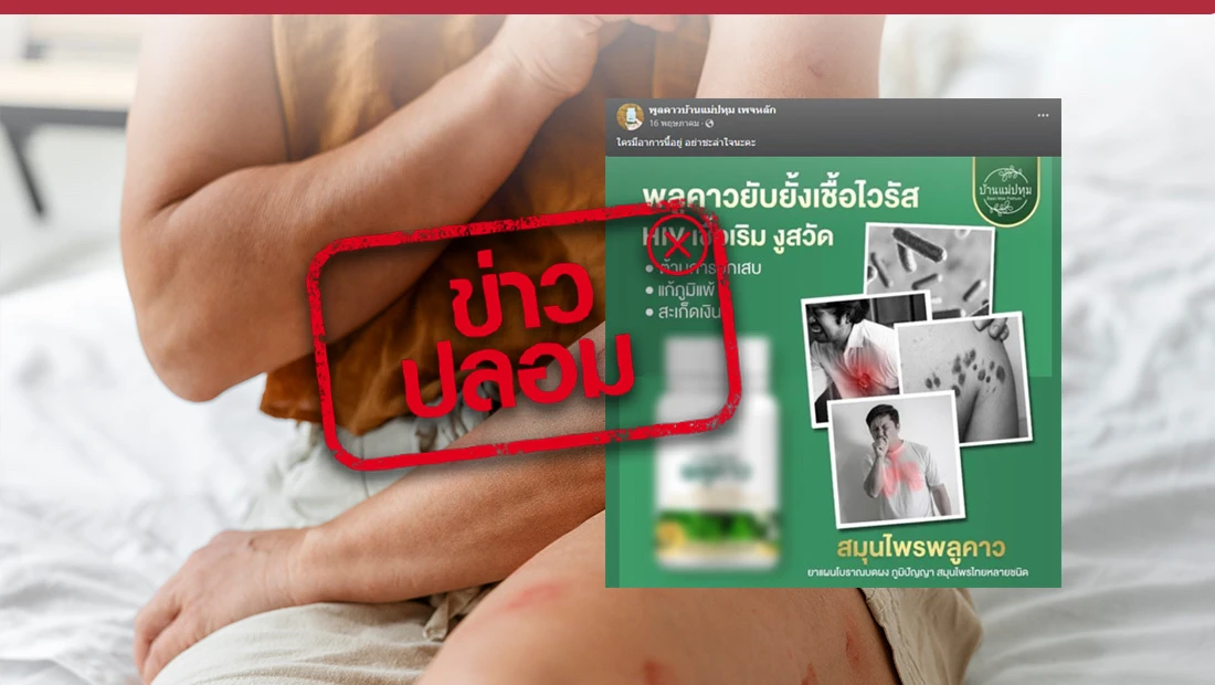 ยาแคปซูลผสมพลูคาว
