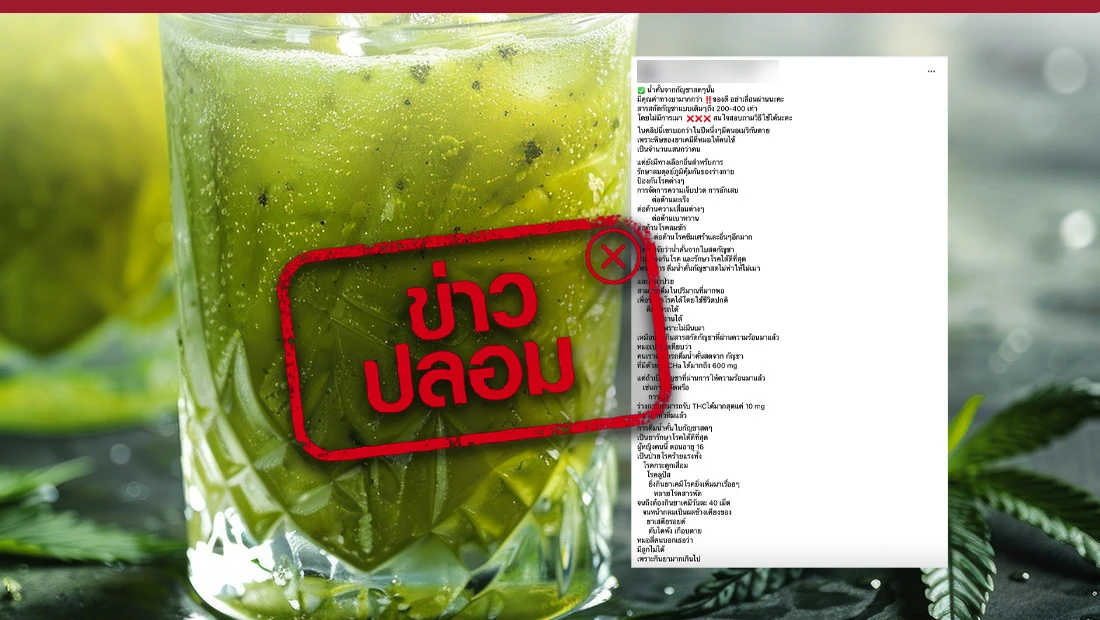 น้ำกัญชาคั้นสด ป้องกันและรักษาโรคได้ดีกว่าสารสกัดกัญชา