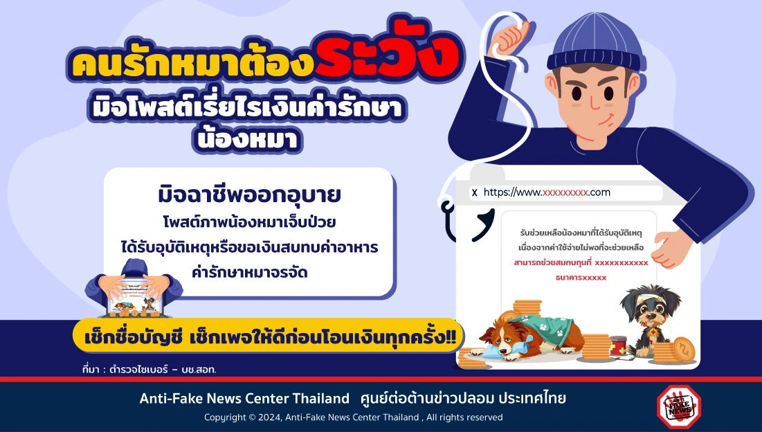 คนรักหมาต้องระวัง มิจโพสต์เรี่ยไรเงินค่ารักษาน้องหมา
