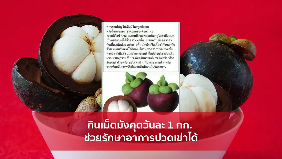 กินเม็ดมังคุดวันละ 1 กก. ช่วยรักษาอาการปวดเข่าได้