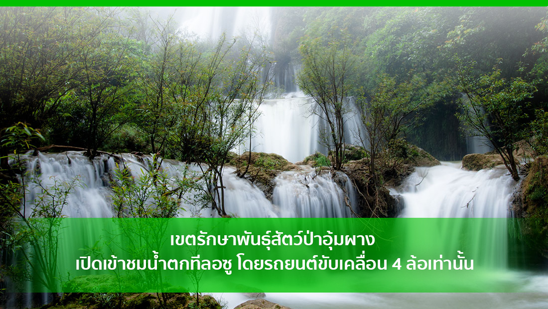 เปิดเข้าชมน้ำตกทีลอซู