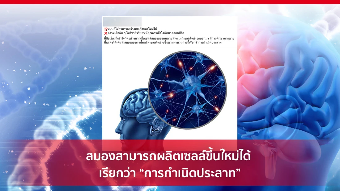การกำเนิดประสาท