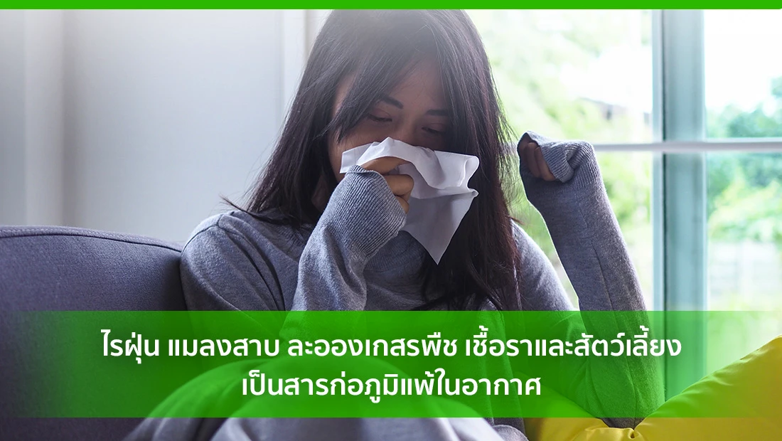 สารก่อภูมิแพ้ในอากาศ