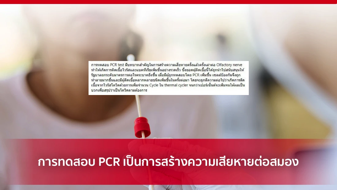 การทดสอบ PCR