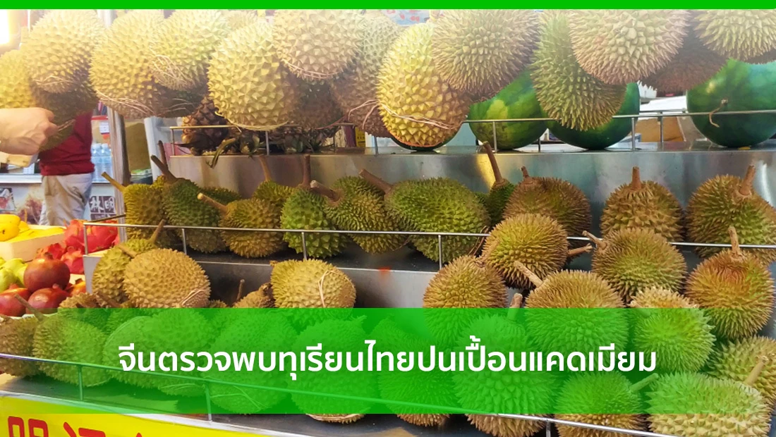 ทุเรียนไทยปนเปื้อน