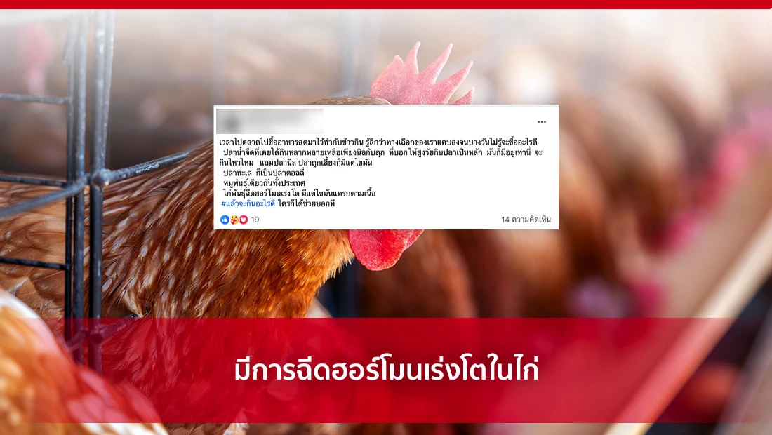 ฉีดฮอร์โมนเร่งโตในไก่