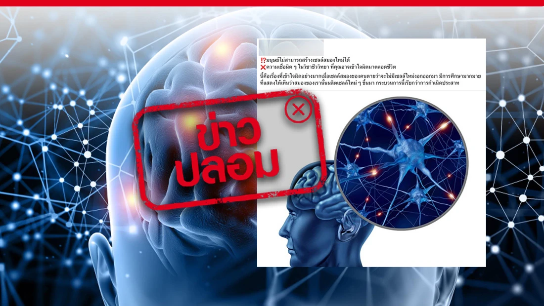 การกำเนิดประสาท