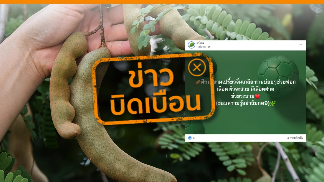 ฝักมะขามเปรี้ยวจิ้มเกลือ
