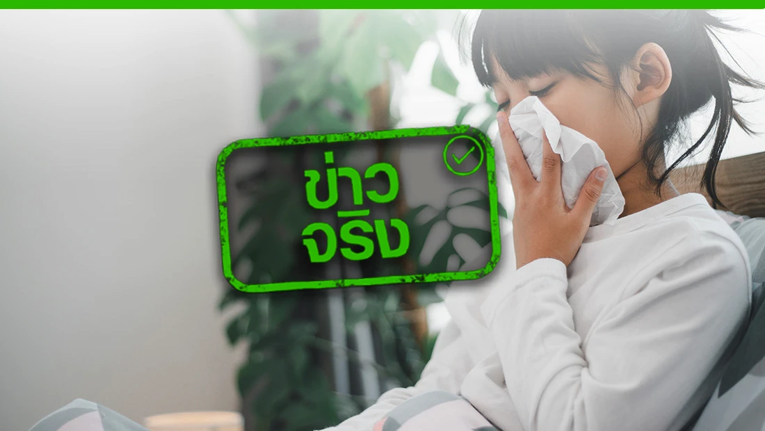 สารก่อภูมิแพ้ในอากาศ