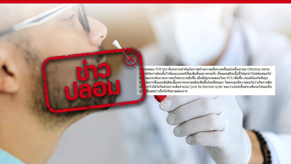 การทดสอบ PCR