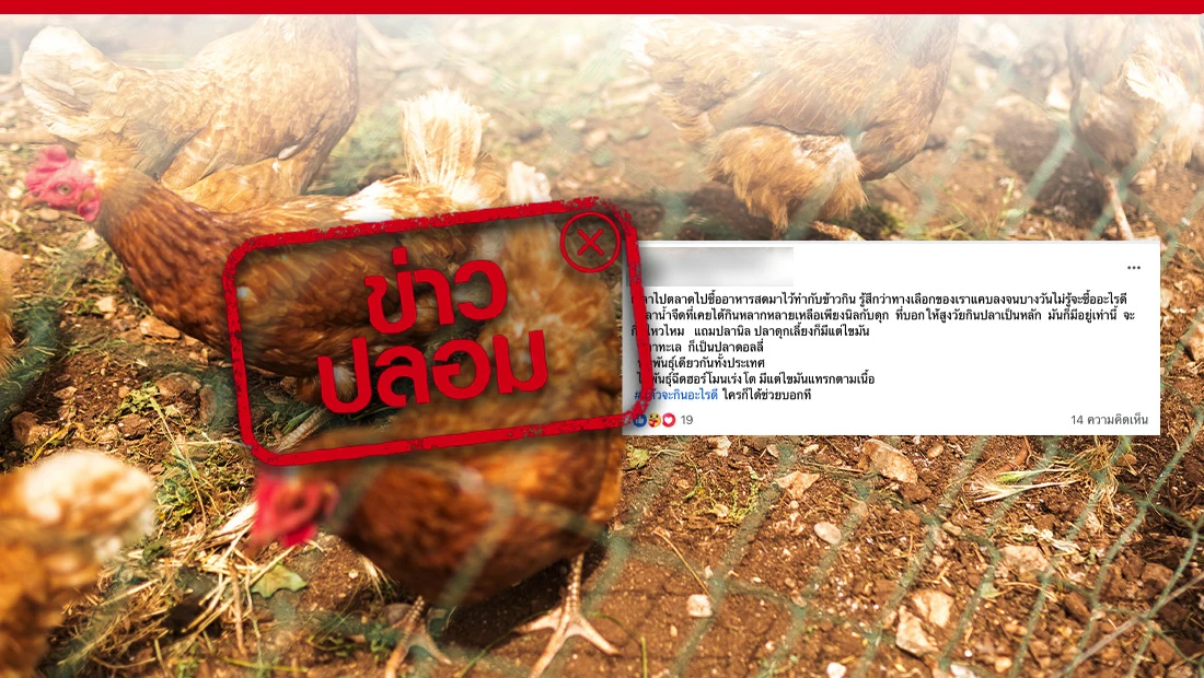 ฉีดฮอร์โมนเร่งโตในไก่