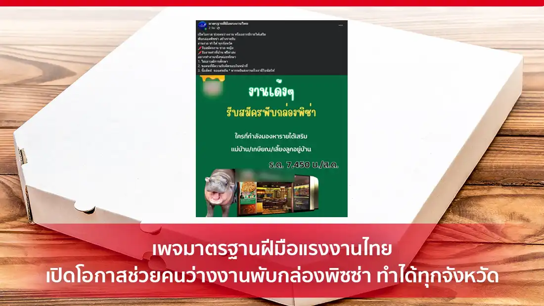 พับกล่องพิซซ่า