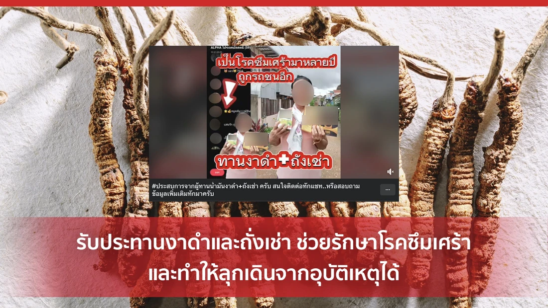 รับประทานงาดำและถั่งเช่า ช่วยรักษาโรค