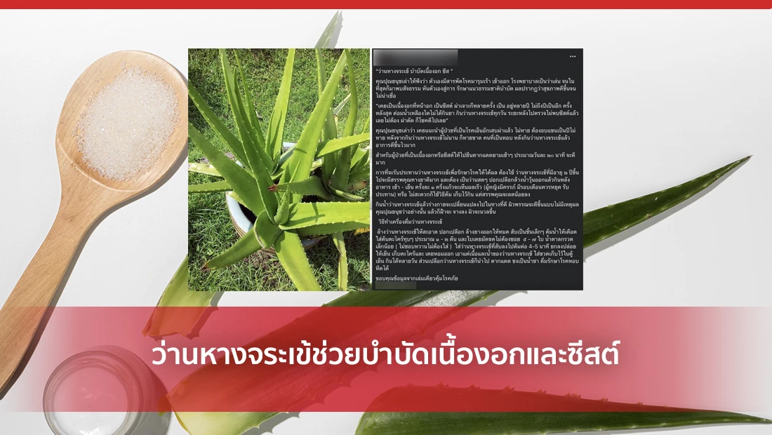 ว่านหางจระเข้ช่วยบำบัดเนื้องอกและซีสต์