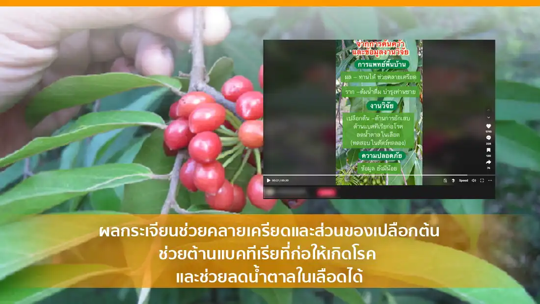 กระเจียน