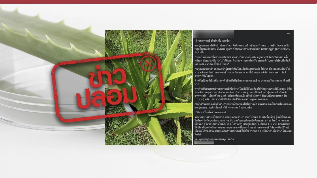 ว่านหางจระเข้ช่วยบำบัดเนื้องอกและซีสต์