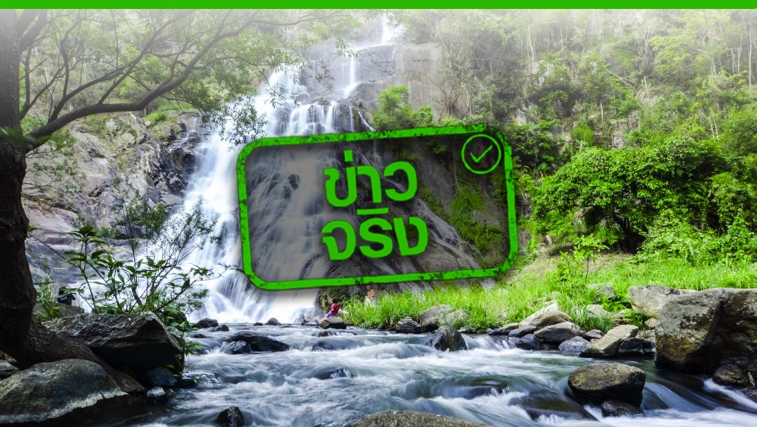 บริเวณพื้นที่น้ำตกคลองวังเจ้า น้ำตกเต่าดำ และลานกางเต็นท์น้ำตกเต่าดำ