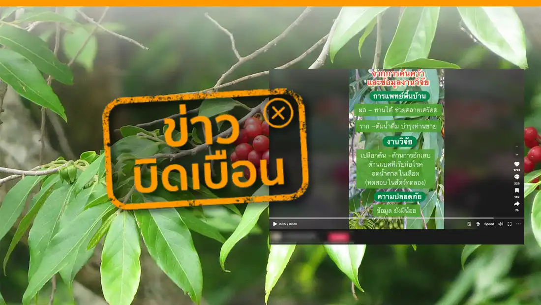 กระเจียน