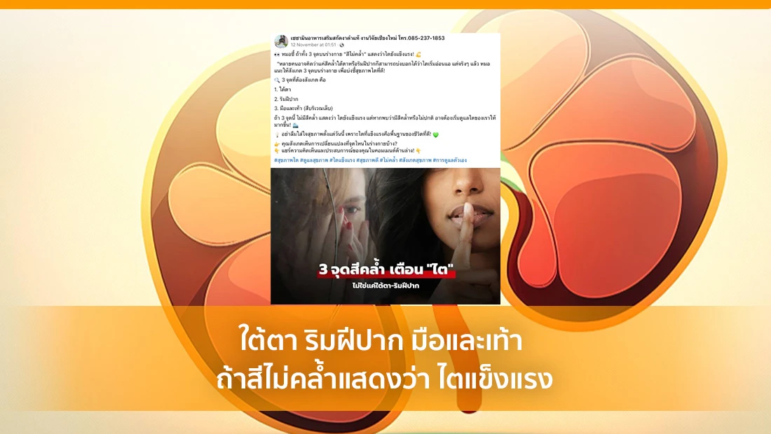 ไตแข็งแรง