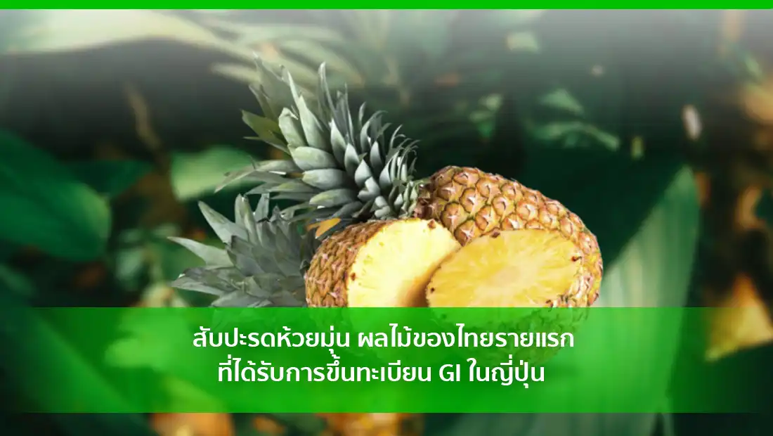 สับปะรดห้วยมุ่น