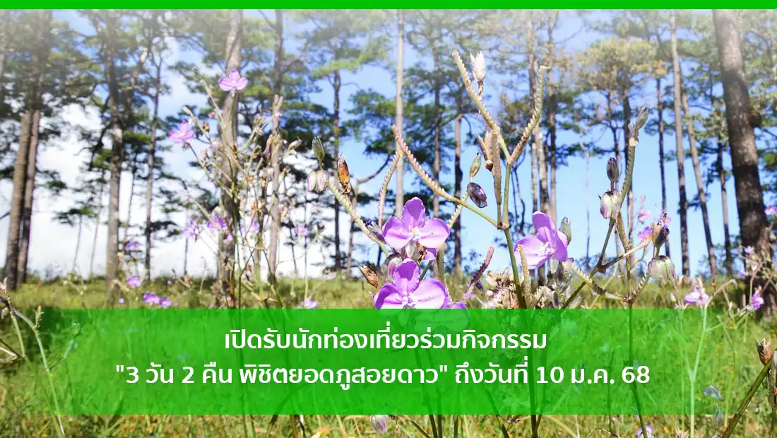 พิชิตยอดภูสอยดาว