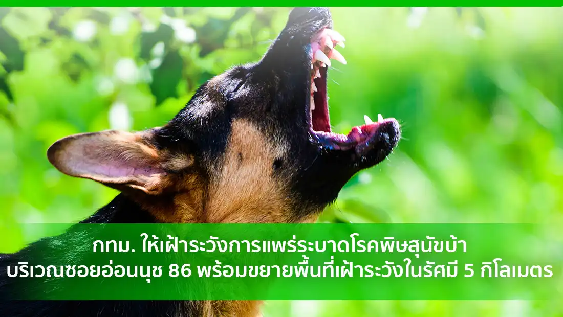 การแพร่ระบาดโรคพิษสุนัขบ้า