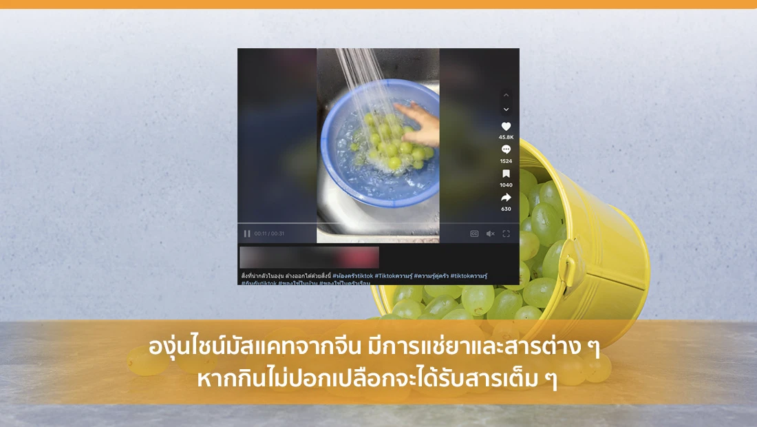 องุ่นไชน์มัสแคทจากจีน มีการแช่ยาและสารต่าง ๆ