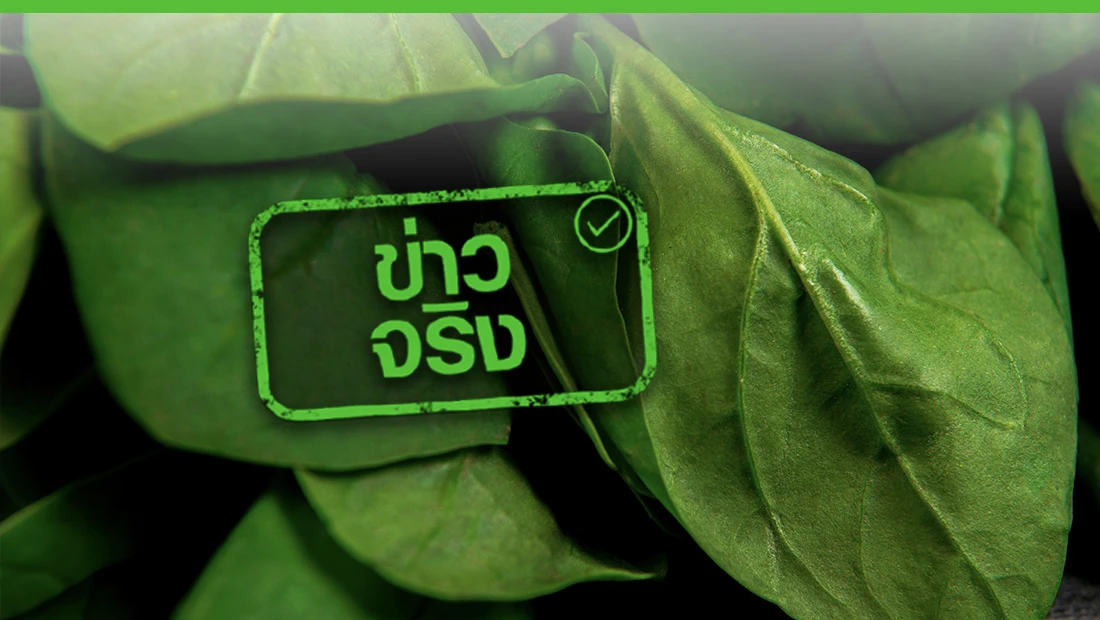 ผู้ป่วยโรคไตห้ามรับประทานผักโขม