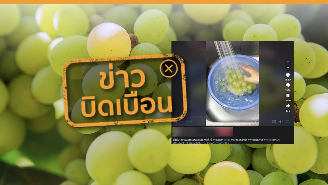 องุ่นไชน์มัสแคทจากจีน มีการแช่ยาและสารต่าง ๆ
