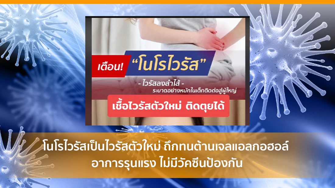 โนโรไวรัส
