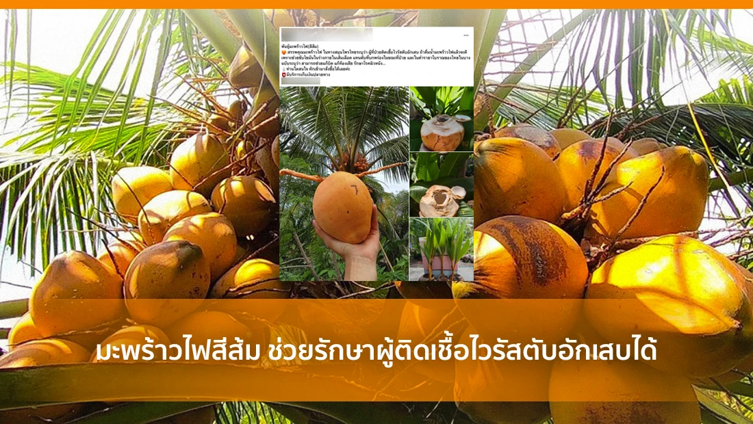 ไวรัสตับอักเสบ