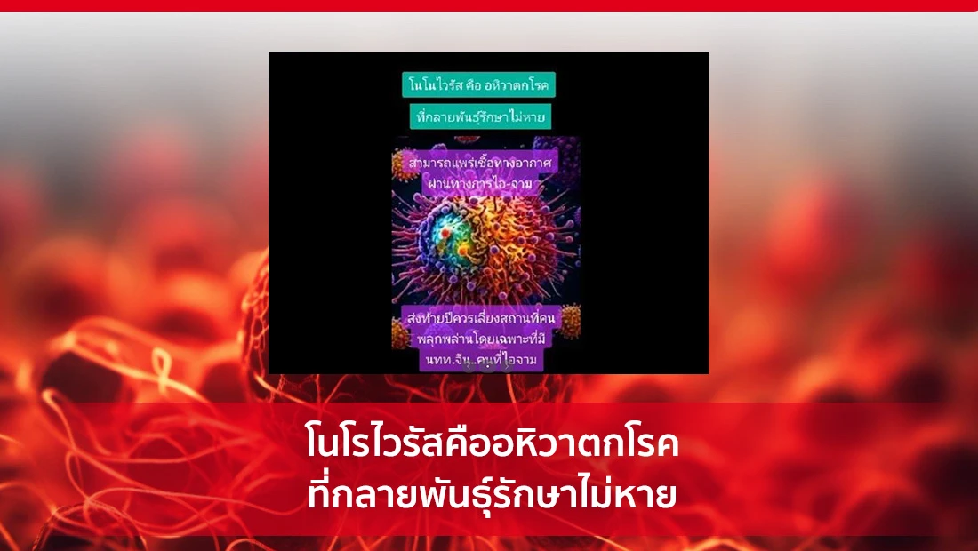 โนโรไวรัส