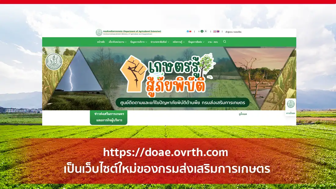 เว็บไซต์ใหม่