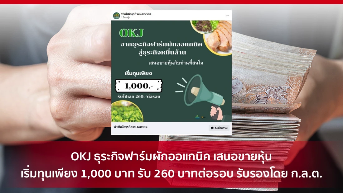 OKJ ธุระกิจฟาร์มผักออแกนิค