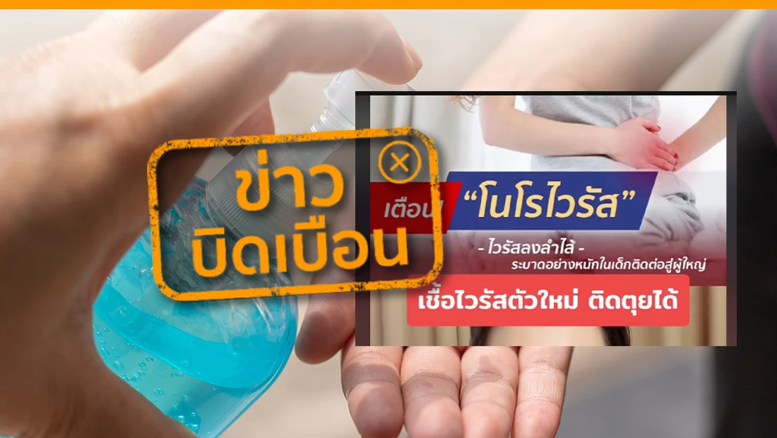 โนโรไวรัส