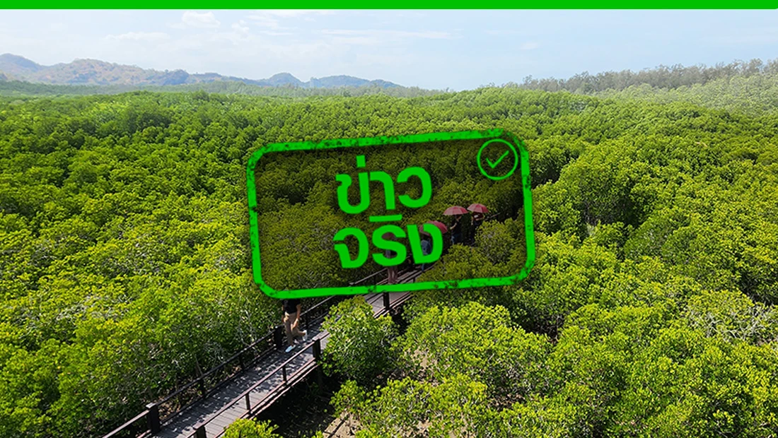 อุทยานแห่งชาติ-วนอุทยานทั่วไทย เปิดให้คนไทยเข้าฟรี